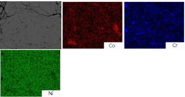 Fig. 2c. Cross section of a multilayered powder particle of (Ni 90 Cr 10 ) 90 Co 10  5h milling time  composition: Ni-green, Co-red, Cr-blue