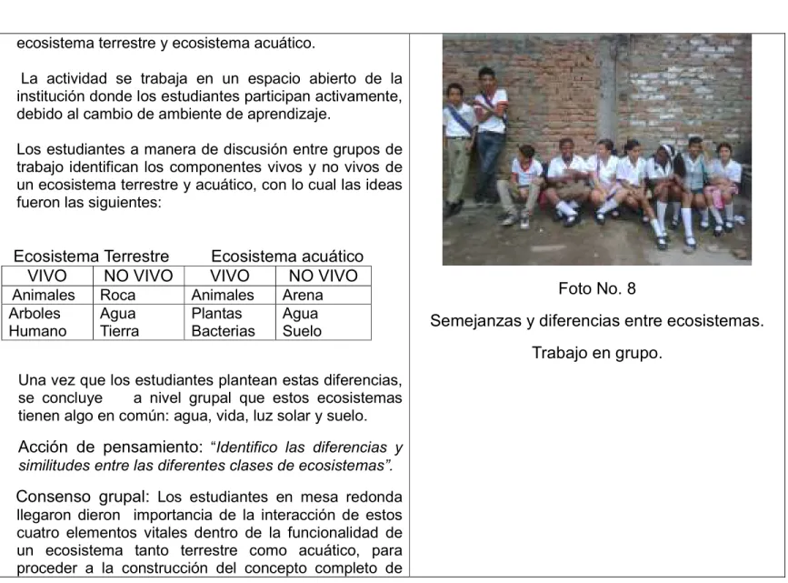 Foto No. 8 