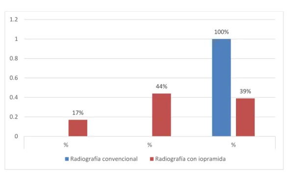 GRÁFICO 04 