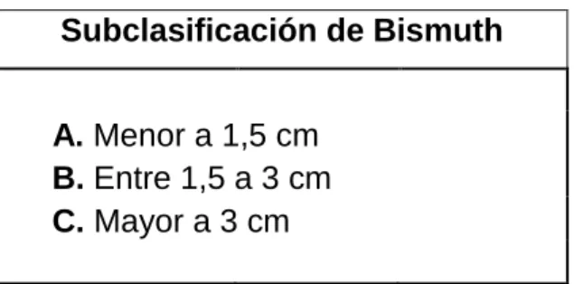 Cuadro Nº 2 Clasificación de Strasberg 