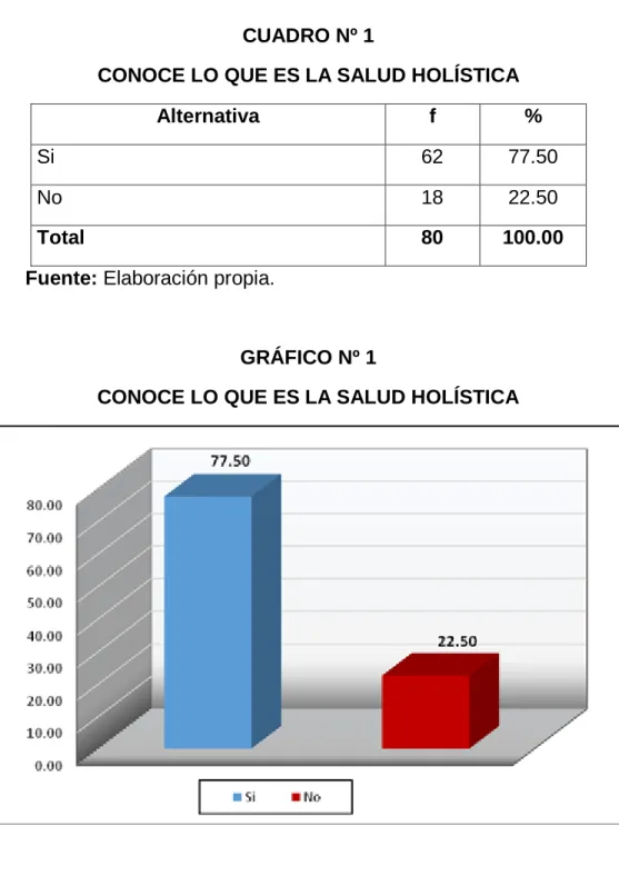 GRÁFICO Nº 1 