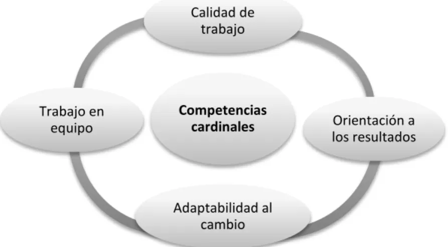 Figura 14: Asignación de competencias cardinales 