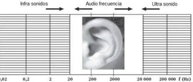 Figura 2.6 .Frecuencias audibles para un individuo en condiciones normales. 