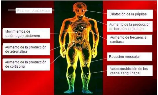 Figura 2.9 – Estudio de la física acústica, con relación a los efectos que  ocasionan los ruidos excesivos en el organismo humano