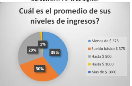 Ilustración 3: Nivel de ingreso 