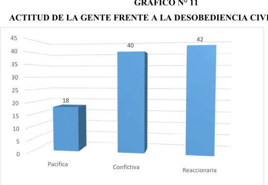 GRÁFICO N° 11 