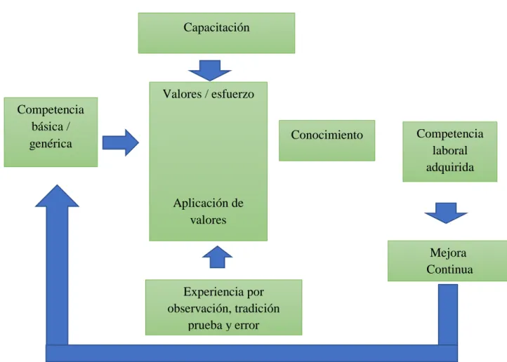 Gráfico 10: Como se Adquiere una Competencia