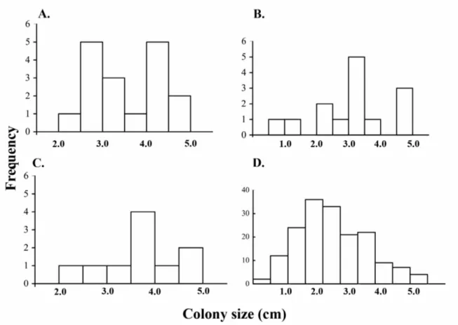 Figure 2. Size frequency distributions of coral recruits at Gorgona National Natural Park  (Eastern Tropical Pacific)