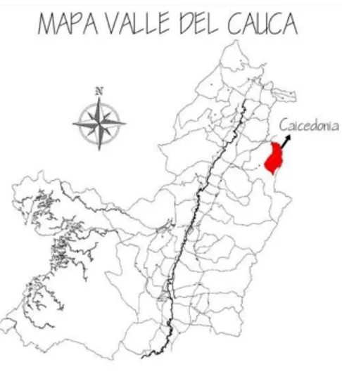 Figura  3. Ubicación geográfica del municipio de Caicedonia Valle 