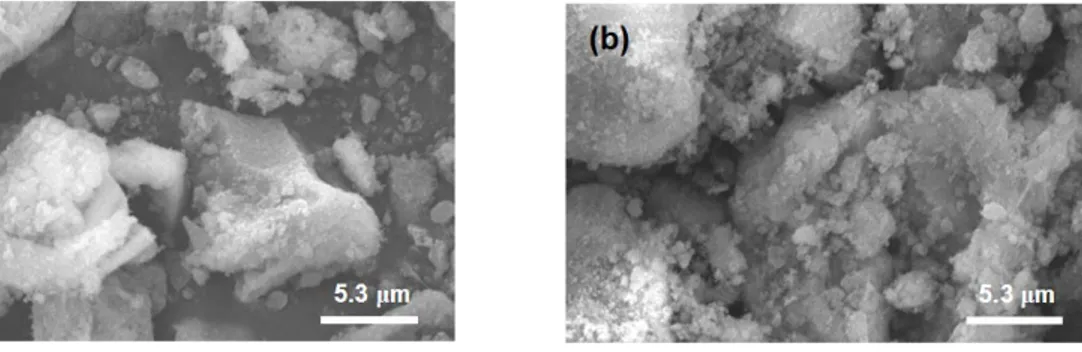Figure 4. SEM images of RuAL (catalyst) before (a) and after reaction (b). 
