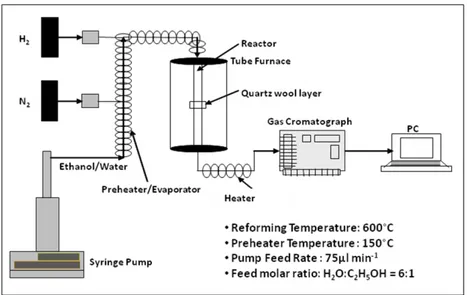 Figure 1. The fixed-bed reaction system for the AEER evaluation tests 