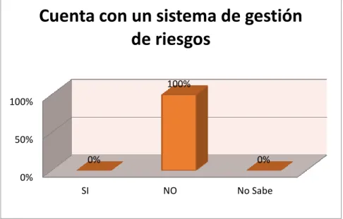 GRÁFICO 3. Sistema de gestión de riesgos. 