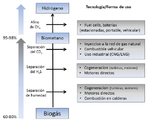 Gráfico 2.1. Tecnologías de mejoramiento de calidad de biogás 
