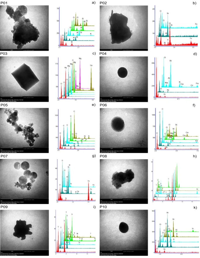 Figure 4.  Anthropogenic particles and spectrum TEM/EDX. (a) P01, (b) P02, (c) P03, (d)  P04, (e) P05, (f) P06, (g) P07, (h) P08, (i) P09 and (j) P10