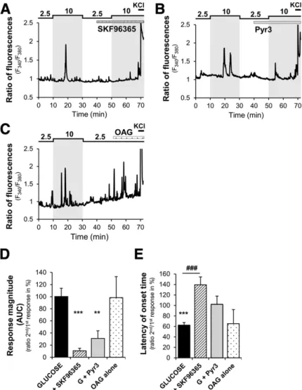 Figure 6 —TRPC3 channels are required for GE neuron response to increased glucose. A–C: Representative calcium imaging traces of MBH GE neuron response to a 2.5 –10 mmol/L glucose increase in the presence or not of the nonselective TRPC channel inhibitor S