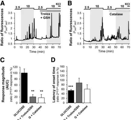 Figure 7 —ROS is involved in GE neuron response to increased glucose. A and B: Representative calcium imaging traces of MBH GE neuron in response to a 2.5 –10 mmol/L glucose increase in the presence or not of a cocktail of nonselective Trolox/GSH antioxida