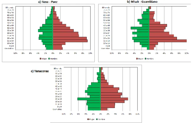 Gráfico  3.  Pirámides  de  población  por  pueblos  indígenas  en  la  cabecera  municipal de Cali, 2005: a) Nasa; b) Guambiano; c) Yanacona