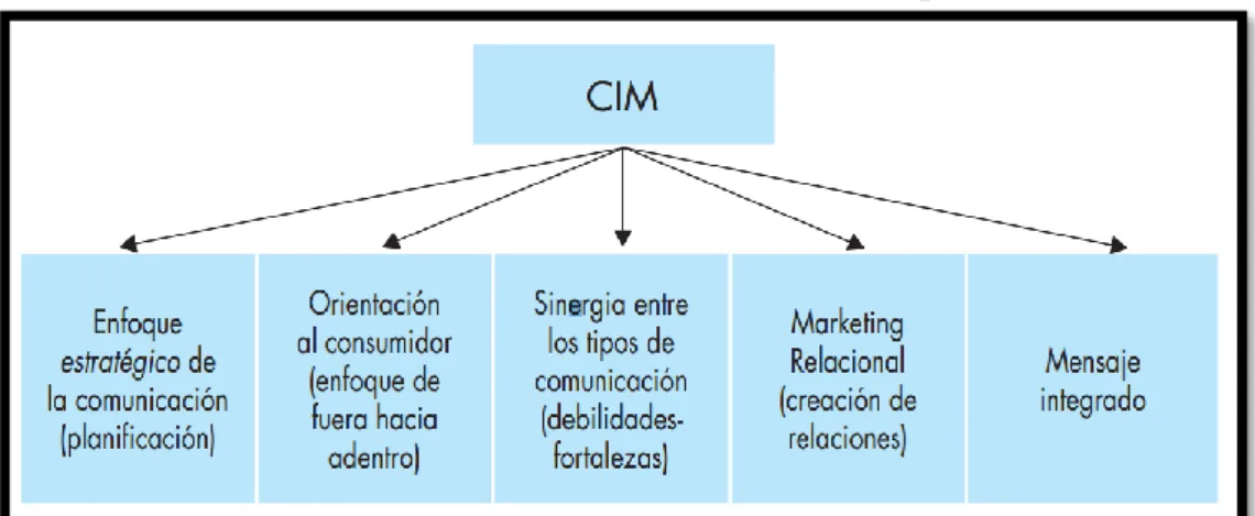 Gráfico No. 6. Elementos Clave del concepto CIM 