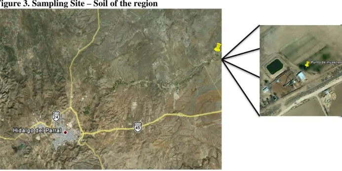 Figure 3. Sampling Site – Soil of the region 