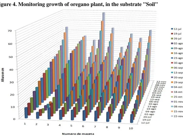 Figure 4. Monitoring growth of oregano plant, in the substrate &#34;Soil&#34; 