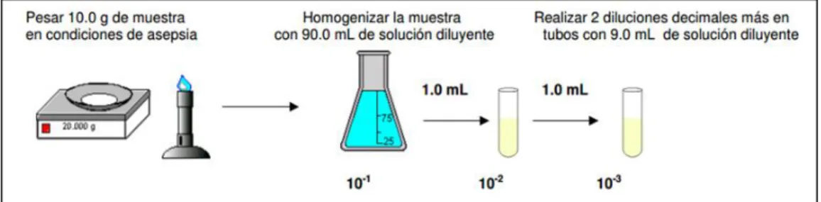 Figura N° 01: Preparación de las diluciones 10 -1 , 10 -2  y 10 -3 .  Fuente: Camacho et al (2009)