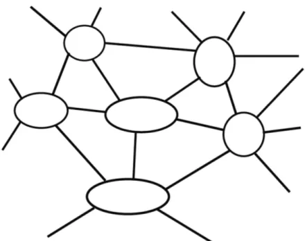 Figura 1. Esquema del patrón de red