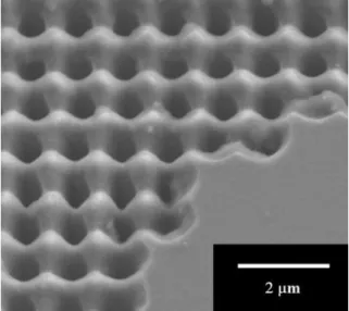 Figure 2. Micrograph of PhC on bare silicon  after ZnO thin film removal in close view