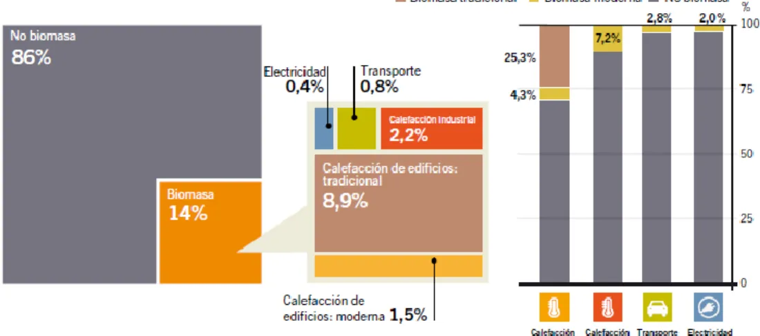 Figura 15.  Índices de los sectores de energía de la biomasa mundial.  