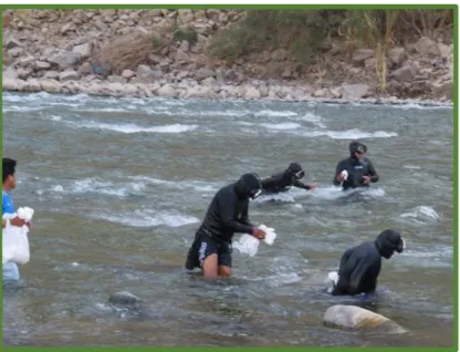 Figura No. 3.1. Muestreo de Camarón en el rio Ocoña 