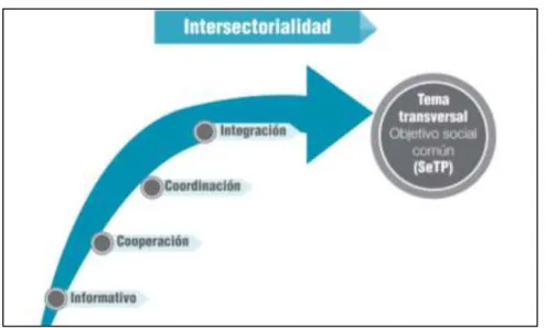 Figura 1. Niveles de intersectorialidad 