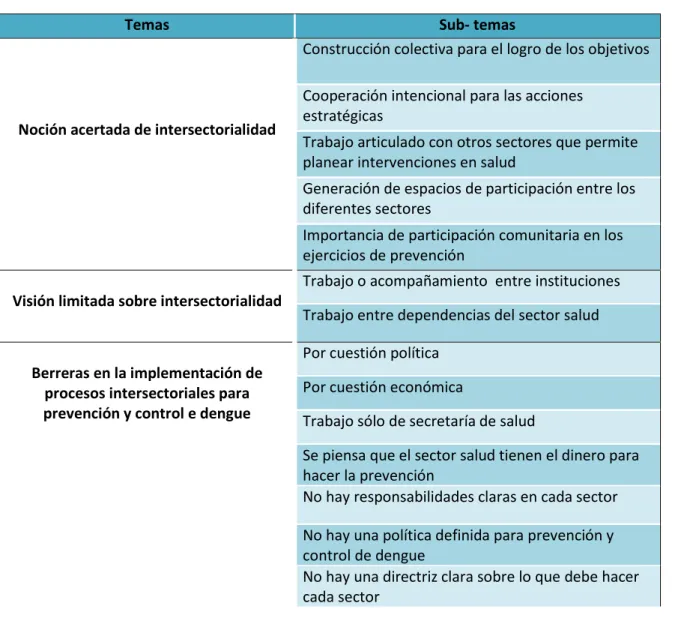 Tabla 3. Temas identificados 