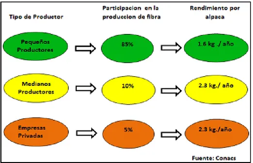 TABLA 6. COMPETENCIA DE MATERIA PRIMA 