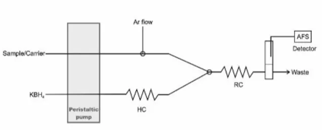 Figura 1. Esquema del  sistema HG-AFS para  la determinación de plomo. Bucle de almacenamiento,  HC; bucle de reacción, RC; solución reductora, KBH 4 ; muestra y solución portadora en 1.5% HCl