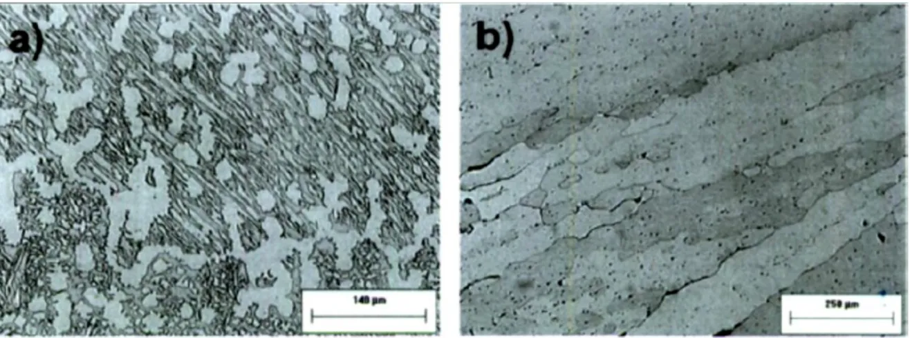 Figure 3. Some aspects of the a) as cast Ni 3 Al microstructure and b) as cast Ni 3 AlNdPr  microstructure 