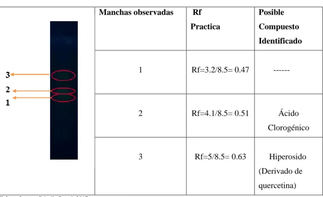 Tabla 7-3: Posibles compuestos flavonóicos identificados en el extracto etanólico blando                        Eupatorium glutinosum   Manchas observadas    Rf   Practica   Posible  Compuesto  Identificado  1  Rf=3.2/8.5= 0.47         ------  2  Rf=4.1/8.