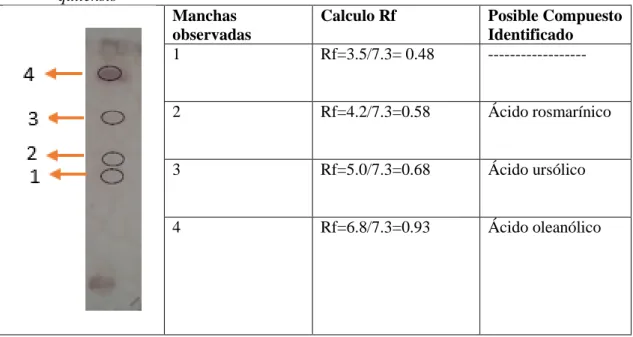 Tabla 8-3: Posibles compuestos triterpénicos identificados en el extracto etanólico blando Salvia   quitensis 