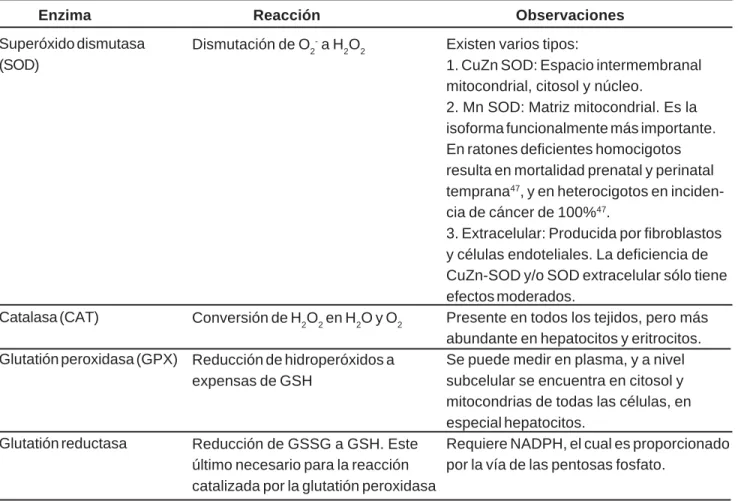 Cuadro 1 Enzimas antioxidantes