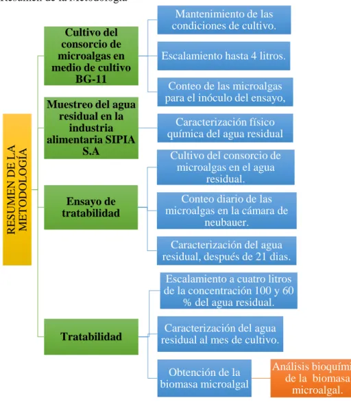 Tabla 1-2: Resumen de la Metodología 