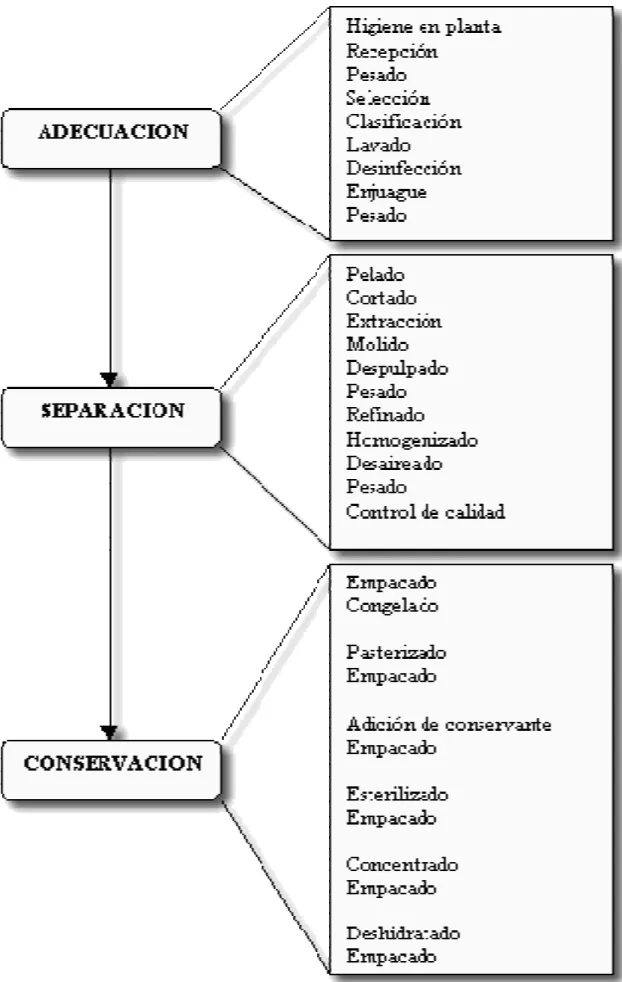 Gráfico 1.  Operaciones generales para la obtención de pulpas.  