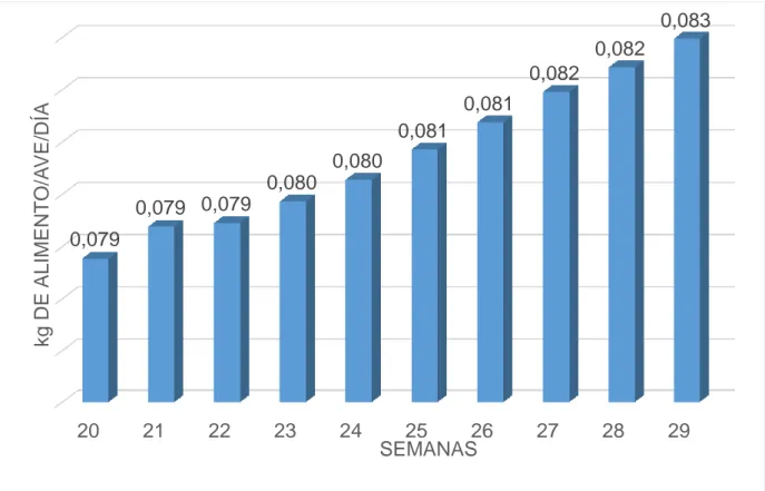 Gráfico 3. Consumo diario de alimento de 250 gallinas de Raza Araucana bajo 