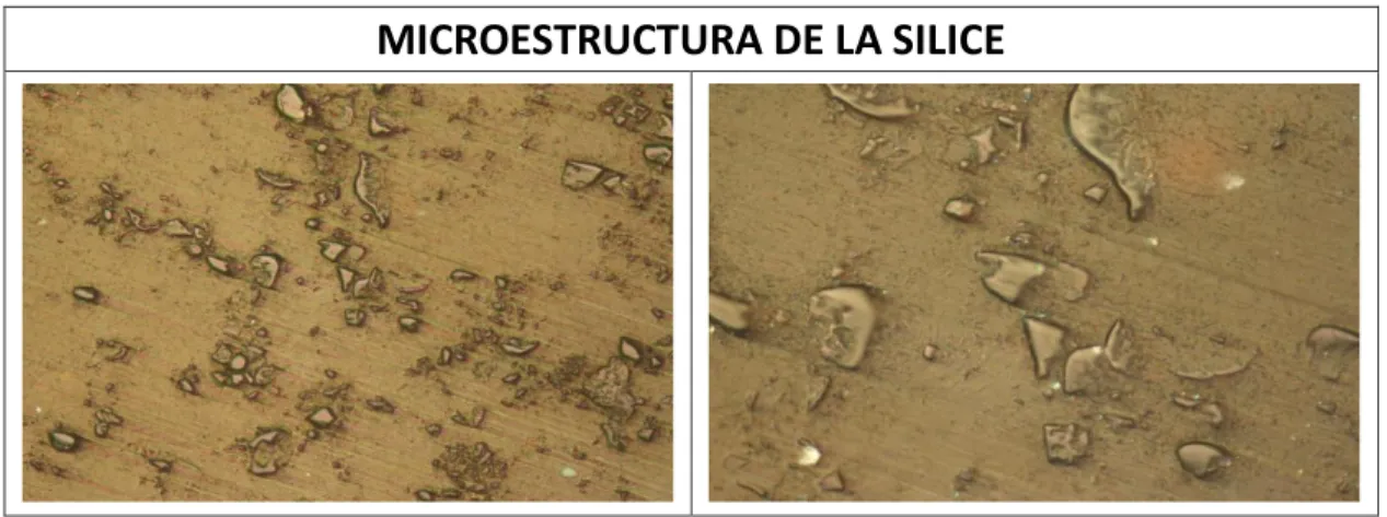 Figura 8: Microestructura de la ceniza de cascarilla de arroz MICROESTRUCTURA DE LA SILICE 