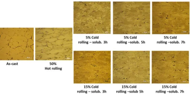 Fig. 3 OM micrographs of 2024 alloy added with 0.5% wt. Zn after solubilized treatment for  3, 5 and in as-cast conditions, 50% hot rolling and 5 and 15% cold rolling