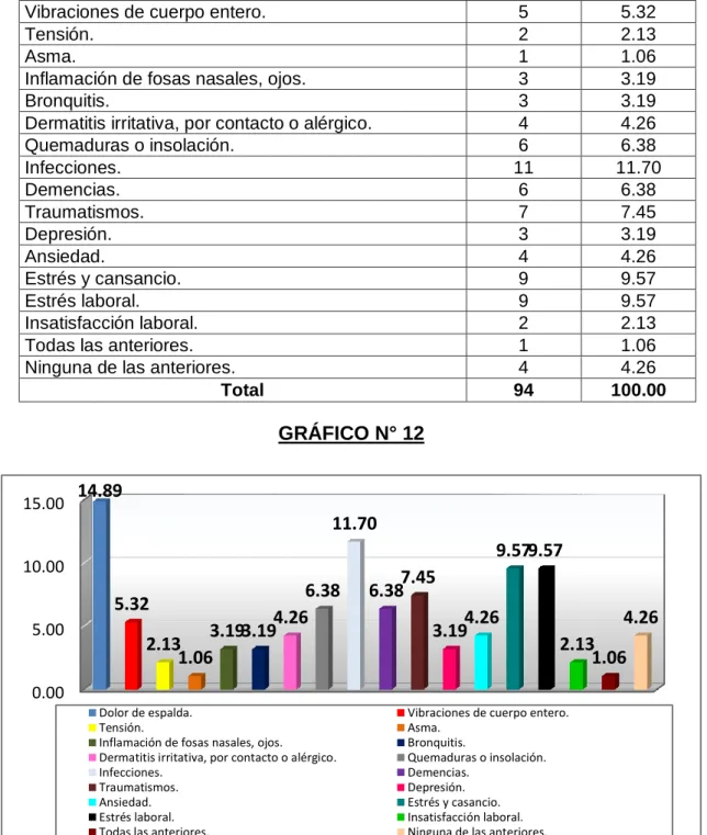 GRÁFICO N° 12 