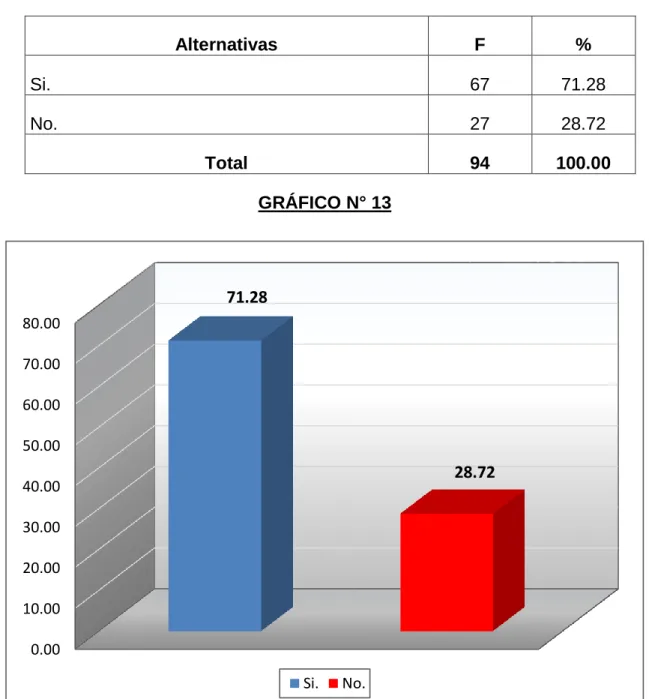 GRÁFICO N° 13 