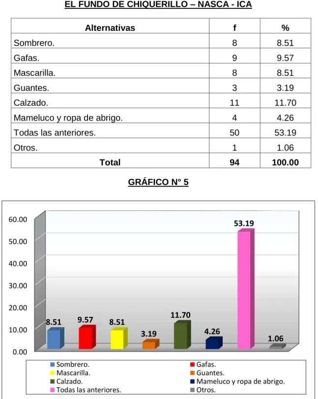 GRÁFICO N° 5 