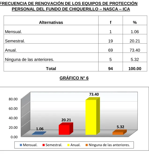 GRÁFICO N° 6 