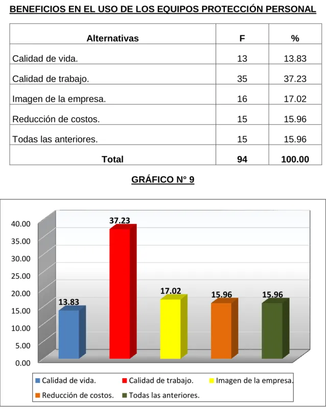 GRÁFICO N° 9 