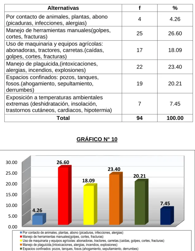 GRÁFICO N° 10 