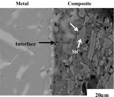 Figure 1. Scanning electron photomicrograph of the M/C interface taken 20 days after the  infiltration trials of a specimen processed at 1100ºC for 60 min
