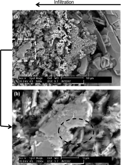 Figure 6. Scanning electron photomicrograph showing the metal/composite interface of  composite electrochemically etched